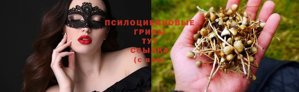 ГАЛЛЮЦИНОГЕННЫЕ ГРИБЫ Белокуриха