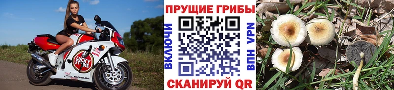 Галлюциногенные грибы мухоморы  Купить закладки  Мышкин 