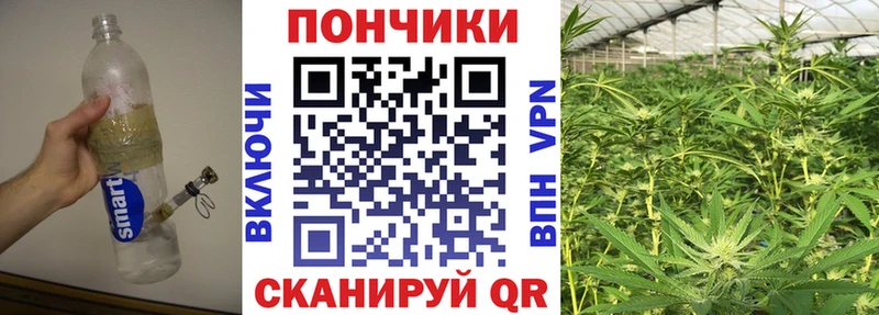 Каннабис тримм  Купить где  Мышкин 